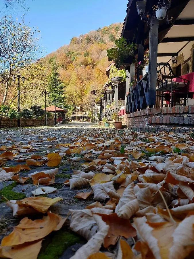 King Park Resort 4*, تيرانا