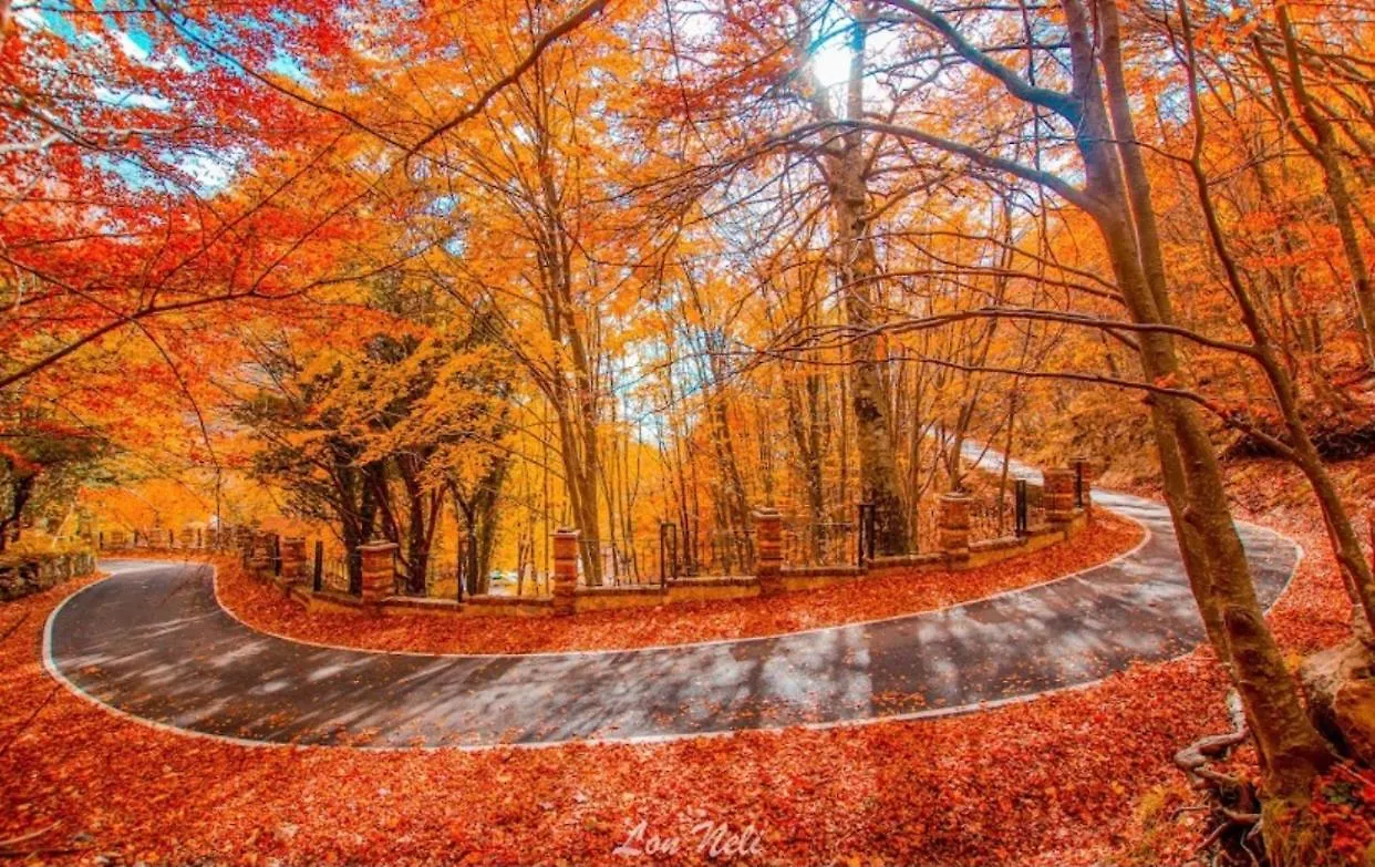 King Park Resort تيرانا